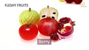 Fleshy fruits: