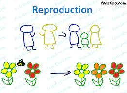 Why is Reproduction is important?