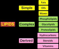 Types of lipids