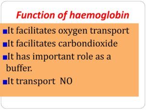 What is Hemoglobin: