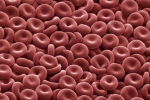Red blood cell
